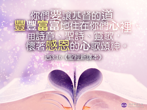 Image result for 西3:16